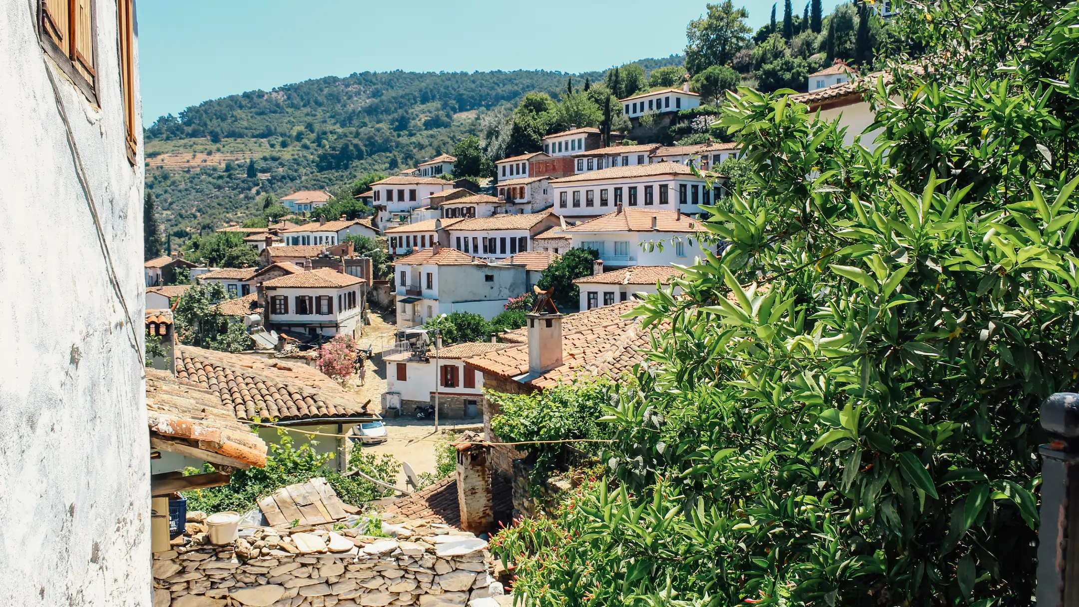 https://hairlinetransplantturkey.com/tips/the-charming-village-of-sirince-a-hidden-gem-in-turkey/