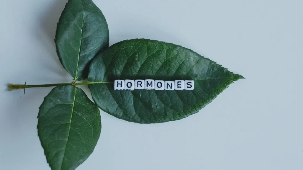 post-transplant hormonal shifts