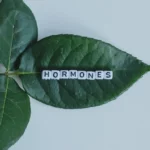 post-transplant hormonal shifts