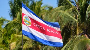 hair transplants in Costa Rica