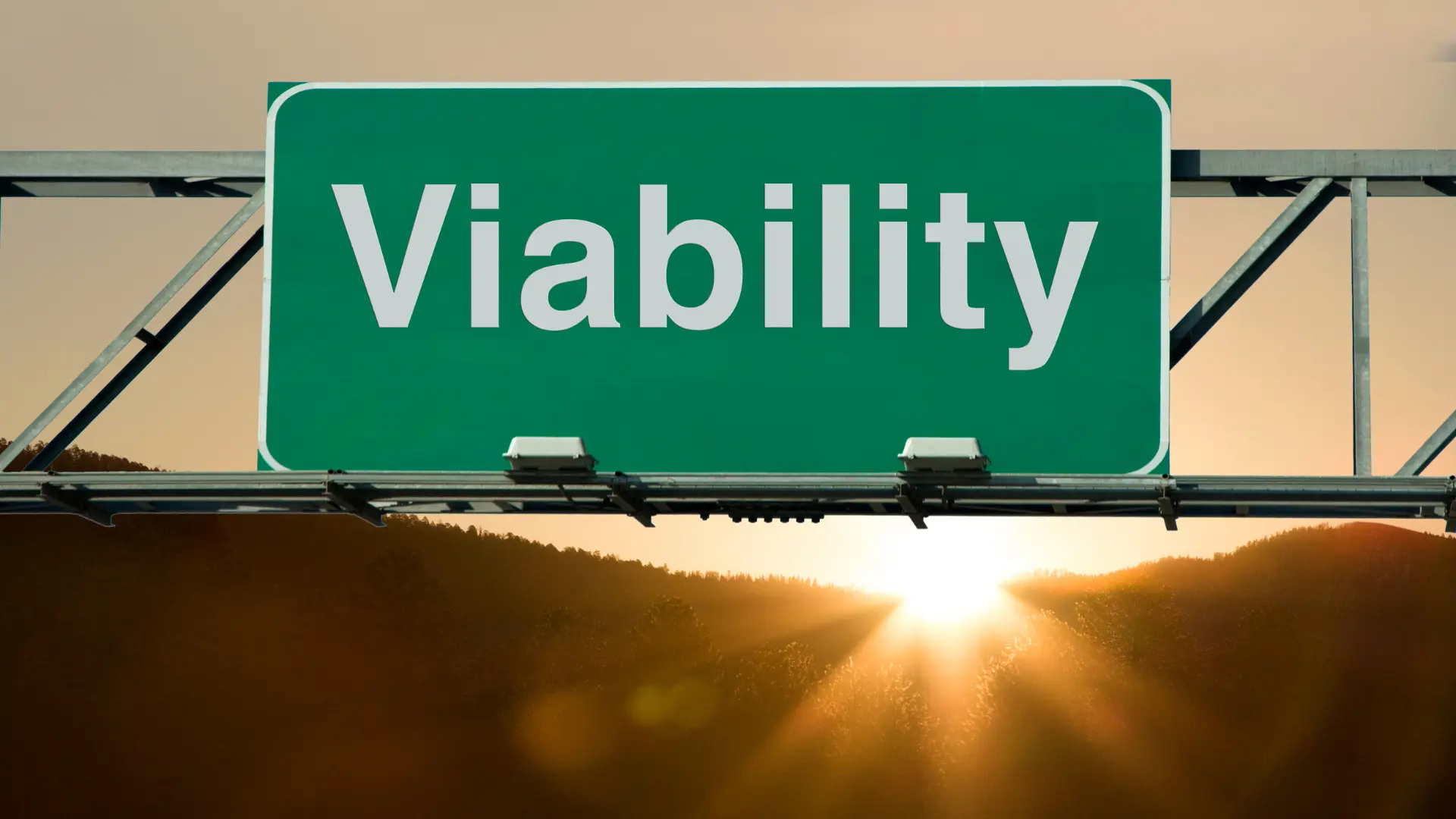 Hair Graft Viability: What You Need to Know for Successful Hair Transplantation