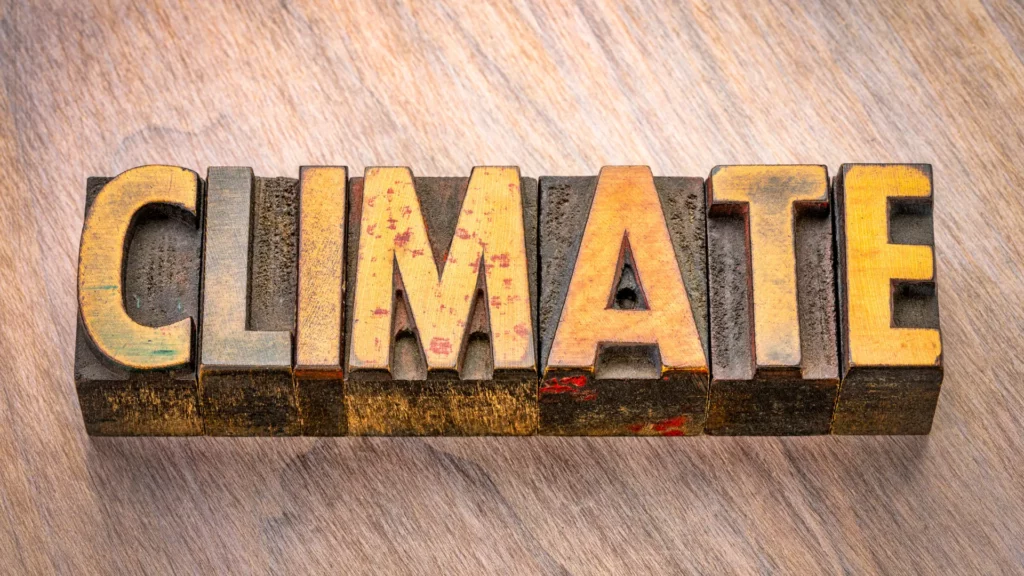Climate & Hair Transplants: Impact on Success and Recovery