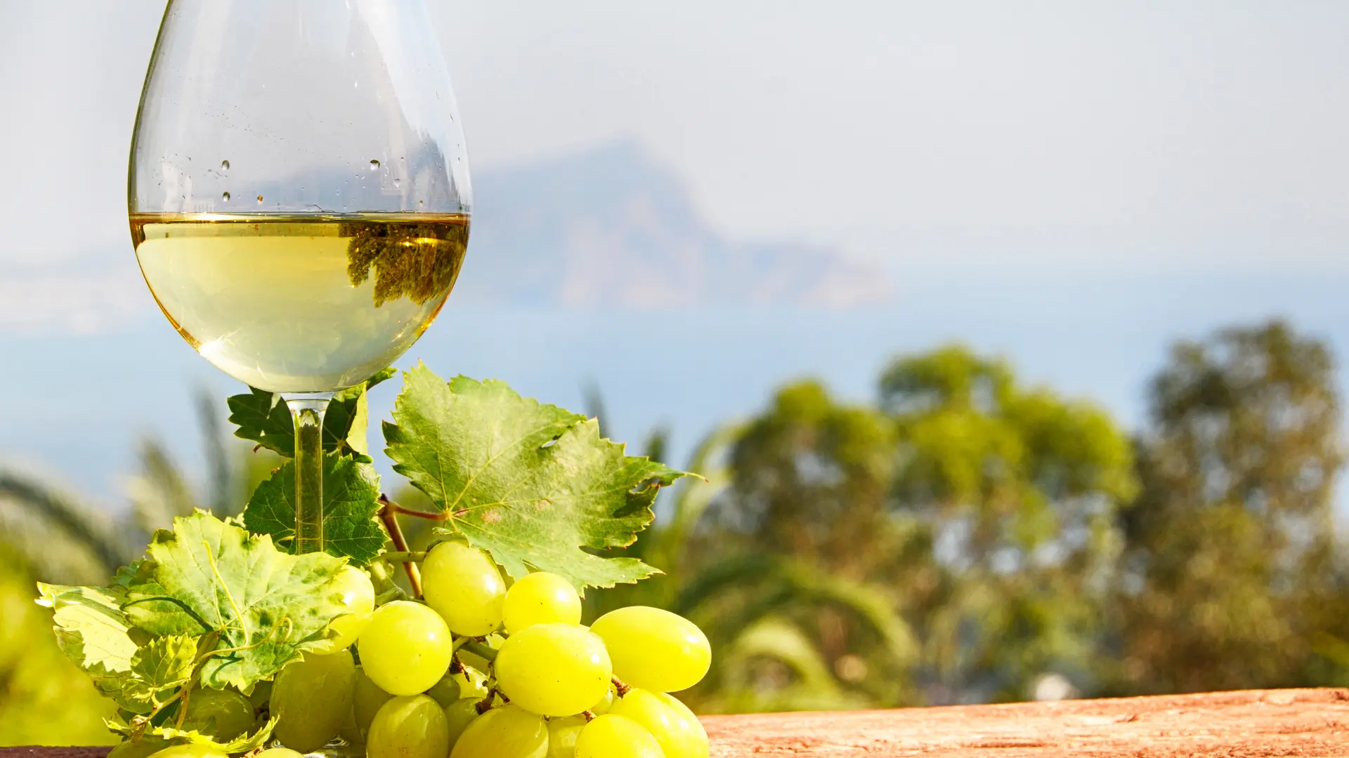 Indigenous Grape Varieties= Indigenous Grape Varieties=