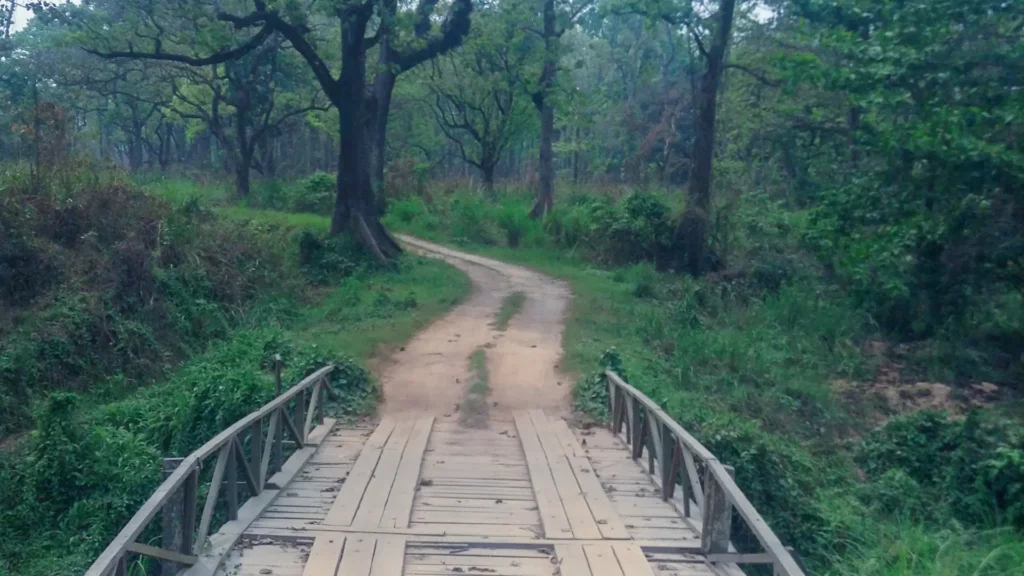 Off-Road Excitement Jeep Safaris and Cycling Off-Road Excitement Jeep Safaris and Cycling