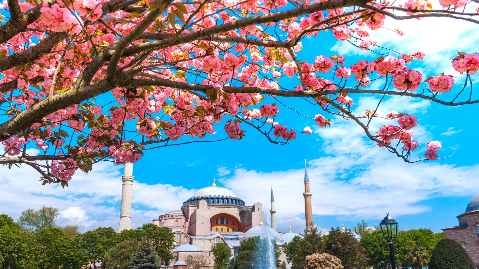 Spring in Turkey Spring in Turkey