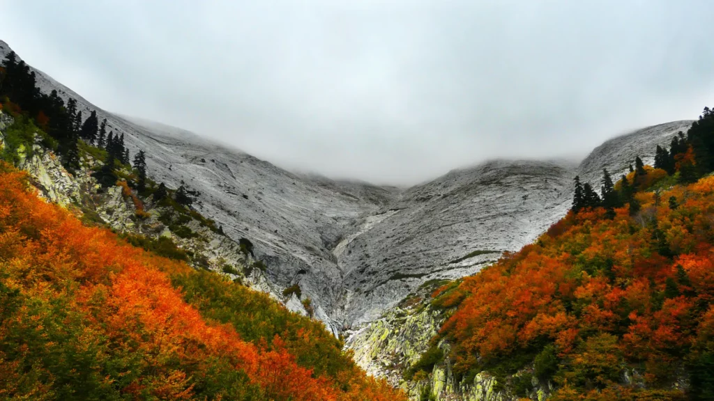Uludağ National Park