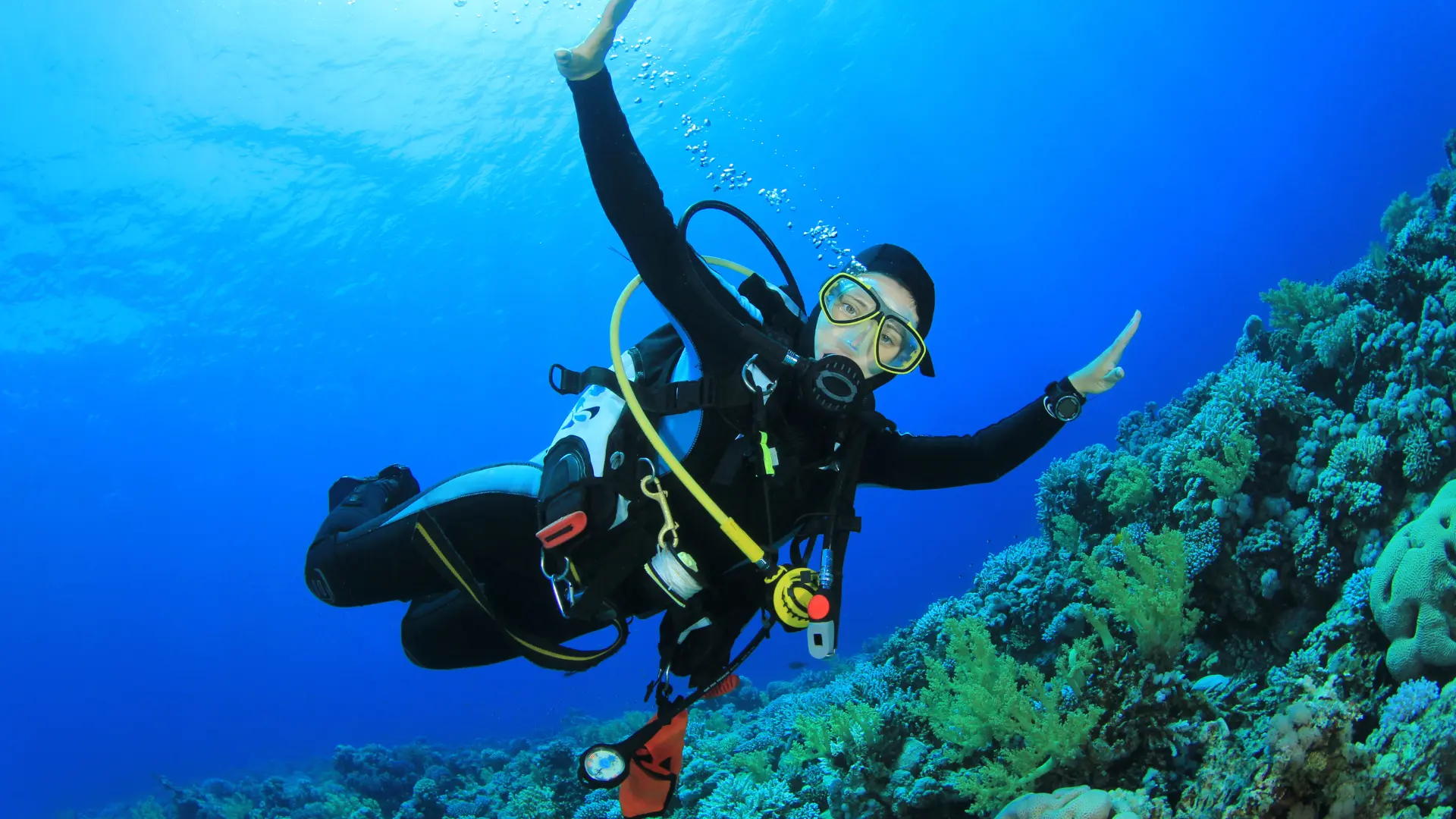 Underwater Adventures Scuba Diving and Snorkeling Underwater Adventures Scuba Diving and Snorkeling