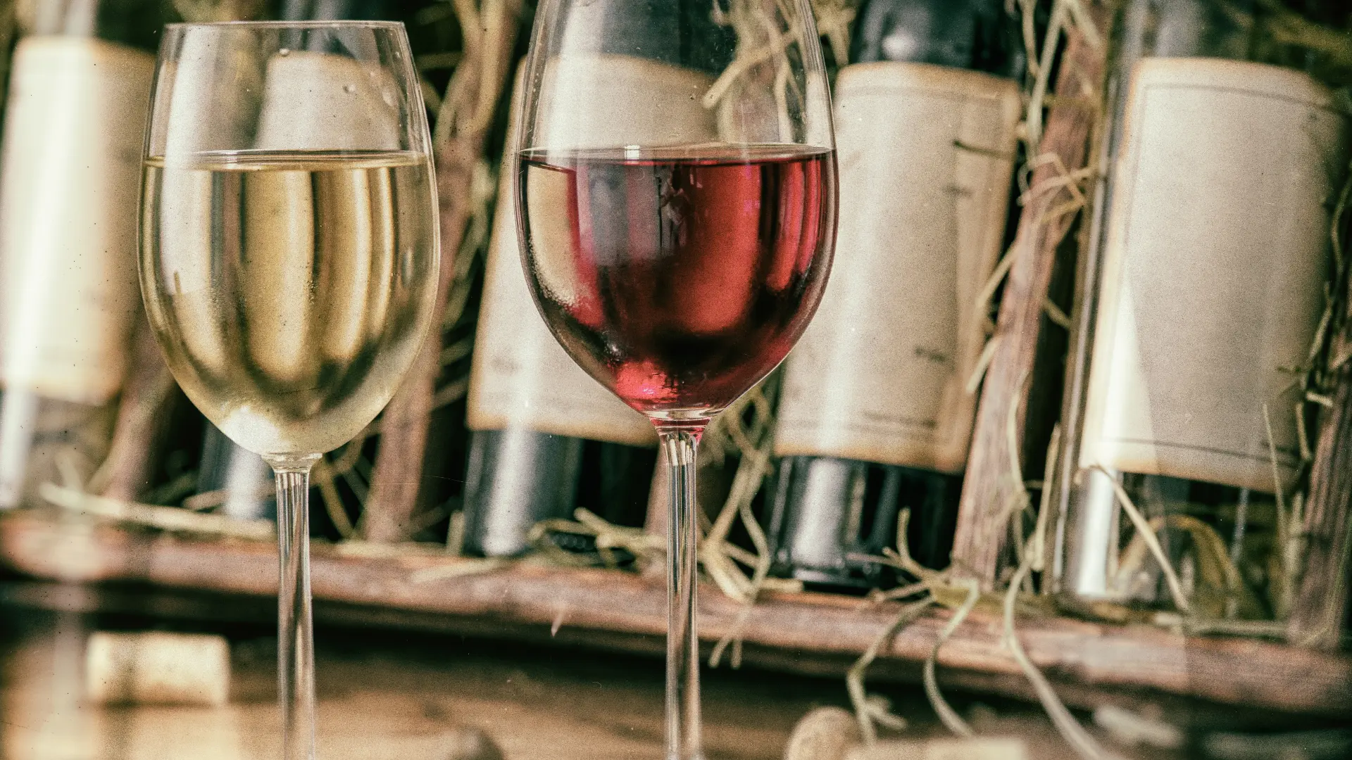 Wine Festivals Wine Festivals